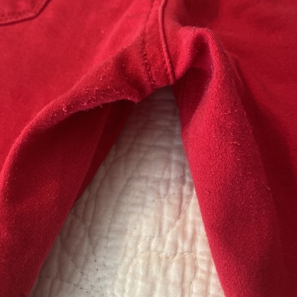 ADORABLE Girl’s Christmas Holiday Outfit - Big Girls Size XL/14-16 - Picture 11 of 12